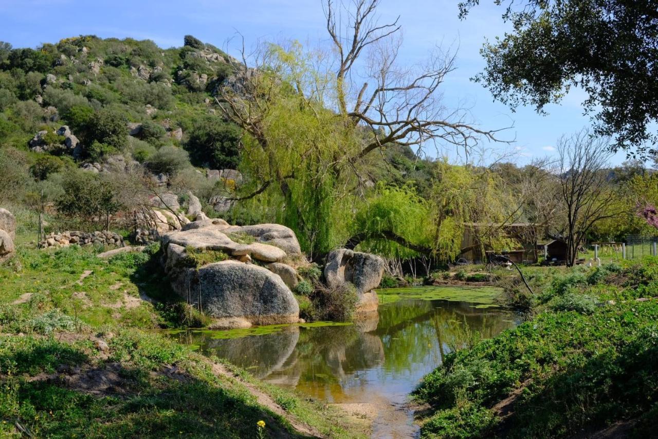 Il Nuraghe Del Lago Coghinas Oschiri Exterior foto