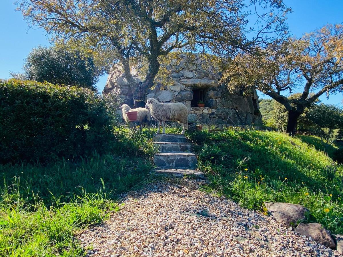 Il Nuraghe Del Lago Coghinas Oschiri Exterior foto