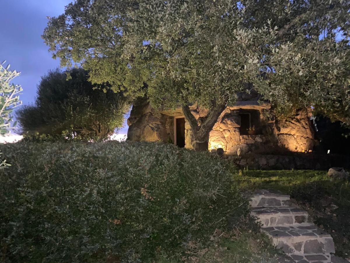 Il Nuraghe Del Lago Coghinas Oschiri Exterior foto